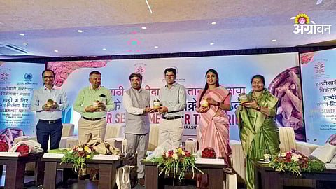 Organic Turmeric Branding