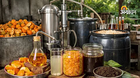 Orange peel oil extraction business opportunity India