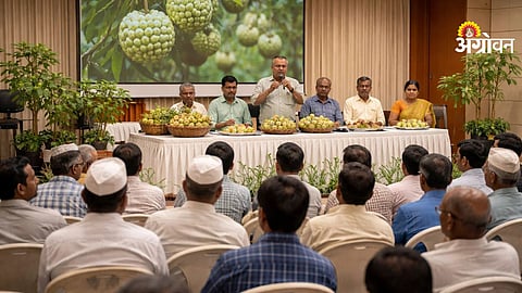 Custard apple farming workshop Pune Maharashtra