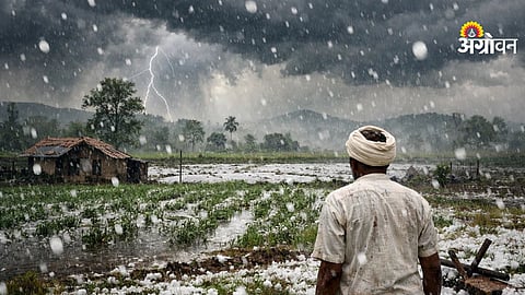 Hailstorm forecast in maharashtra 14 districts