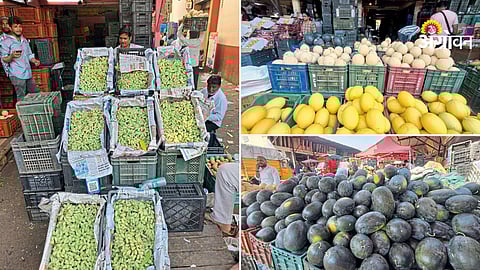 Pune APMC fruit market rates summer season 2026