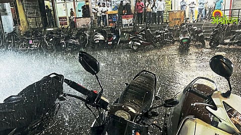 Unseasonal Rain Damage