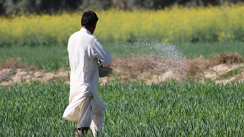IFFCO Nano NPK Fertilisers