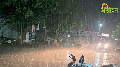 Hailstorm Crop Damage