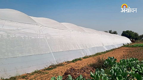 How to use insect net in shade net house farming