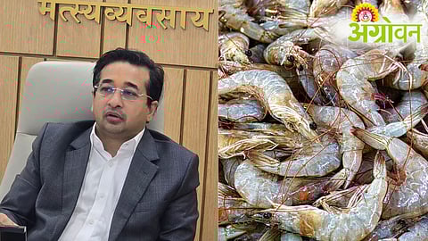 Nitesh Rane Statement On Shrimp Export, Seafood Export
