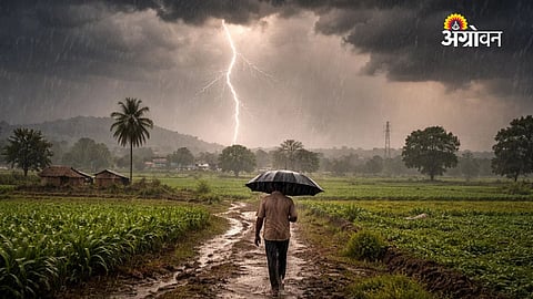 Rain forecast Maharashtra today tomorrow IMD