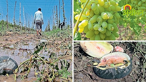 Unseasonal Rain Damage