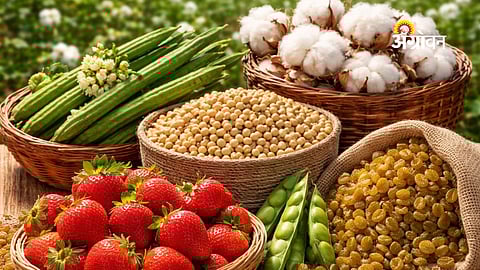 Rain-Conducive Conditions Persist Across Parts of Maharashtra