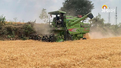 Cloudy Weather Raises Concern for Wheat and Onion Farmers