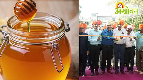 Kolhapur Dhanya Mahotsav