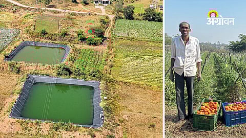 Water Conservation Project Transforms Farming in Igatpuri