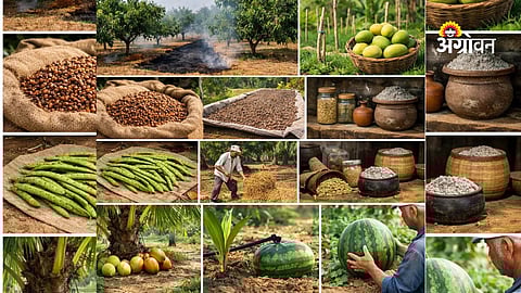 Expert Advisory for Crop Management Amid Heat and Rain Risks