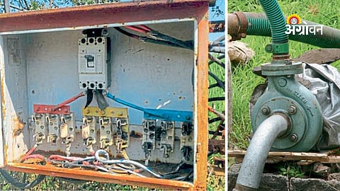 Electrical Hazards in Farming Higher Than Other Sectors