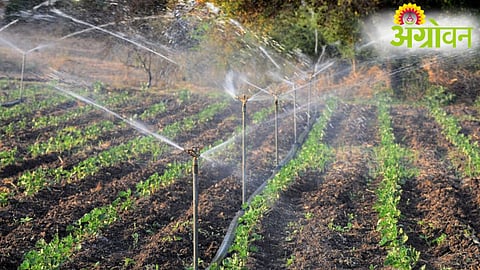 Per Drop More Crop Scheme