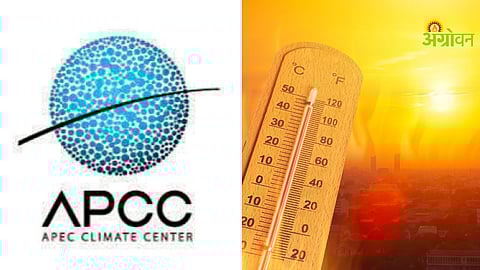 El Nino impact on global weather patterns