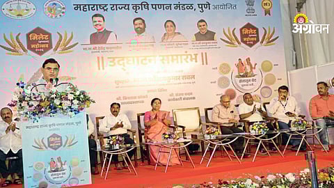 Millets festival in Mumbai Maharashtra