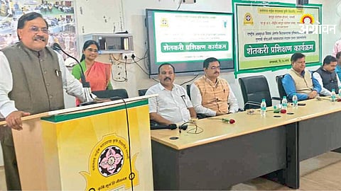 AI technology for bollworm control in cotton