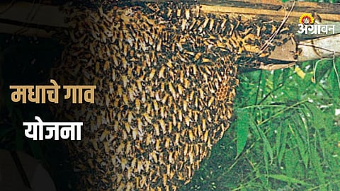 Government fund approval for village development Maharashtra
