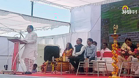 Impact of agri festivals on rural economy India