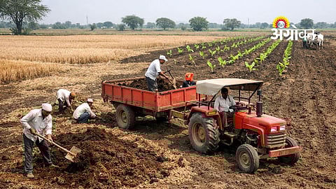 Farmers Prepare Fields for Horticulture Season