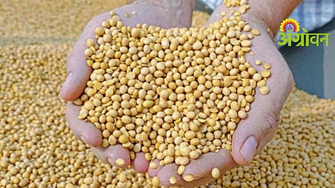 Crop Insurance Payout