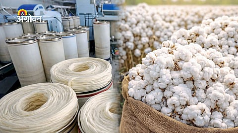 Rising Crude Prices Boost Demand for Natural Cotton Fibers