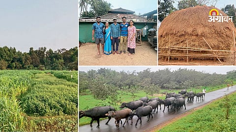 Agriculture Success Story