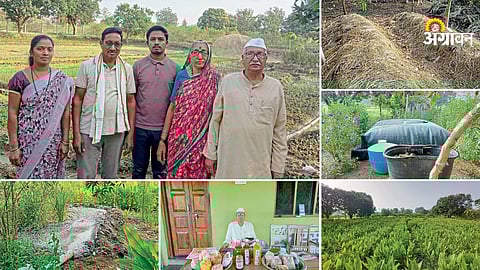 Successful farmer story from Chandrapur Maharashtra