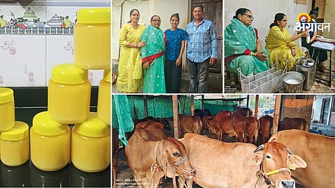 Dairy farming success story Maharashtra