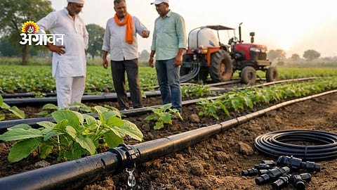 Drip irrigation subsidy Maharashtra 2026 farmers benefit
