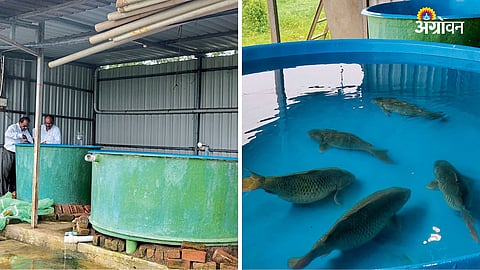 Maharashtra Launches Fisheries Scheme to Boost Rural Economy