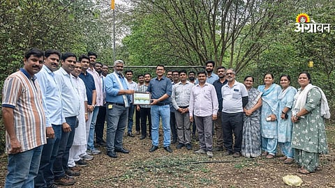 How ai helps in orange orchard management