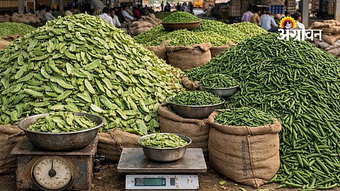 Vegetable Arrival Rises, Prices Stable in Market Yard