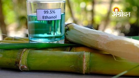 Ethanol as Cooking Fuel Could Cut LPG Imports by Half