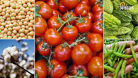 Latest vegetable market trends india 