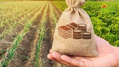 Crop Loan Distribution