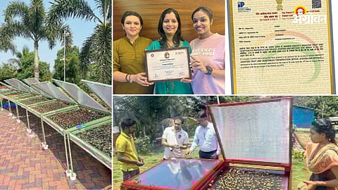 Latest solar drying technology in agriculture india