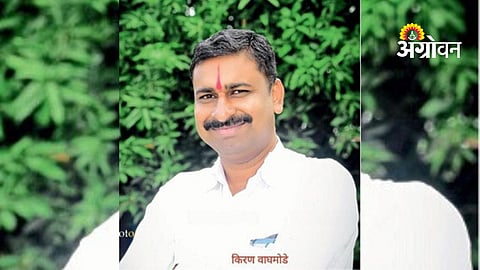 Climate Change Damages Mango and Drumstick Crops in Sangola