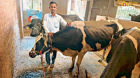 Dairy Farmer Overcomes Challenges to Sustain Business in Kolhapur