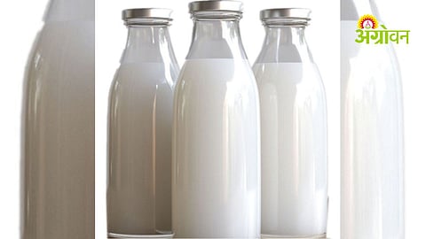 Dairy Industry Hit as Packaging Costs Double in Maharashtra