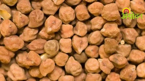 Chana Farmer Registration