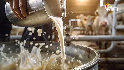 Strict Action Under MCOCA Against Milk Adulteration, But Concerns Remain