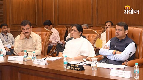 CM Fadnavis onion farmer relief announcement