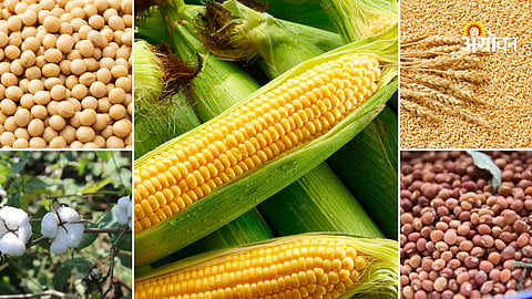 Agriculture commodity market trends India