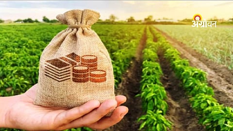 PDCC Bank Urges Farmers to Repay Crop Loans Before March 31