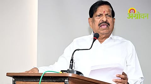 Forest Fire Prevention