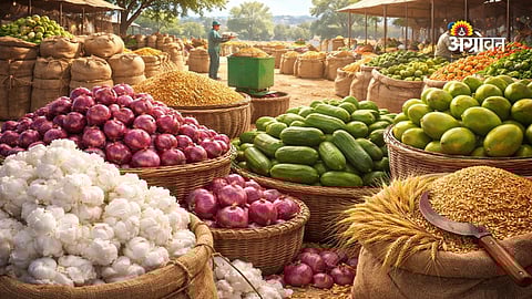 Light to Moderate Rain Expected Across Maharashtra for Next 4 Days