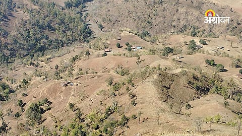 Triple Threat to Satpura: Fires, Deforestation and Poaching