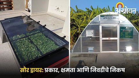 Benefits of solar drying for fruits and vegetables
